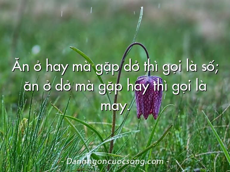 Ăn ở hay mà gặp dở thì gọi là số; ăn ở dở mà gặp hay thì gọi là may.