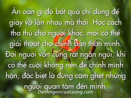 Ân oán gì đó bất quá chỉ dùng để giày vò lẫn nhau mà thôi. Học cách tha thứ cho người khác, mới có thể giải thoát cho chính bản thân mình. Đời người vốn cũng rất ngắn ngủi, khi có thể cười không nên để chính mình hận, đặc biệt là đừng căm ghét những người quan tâm đến mình.