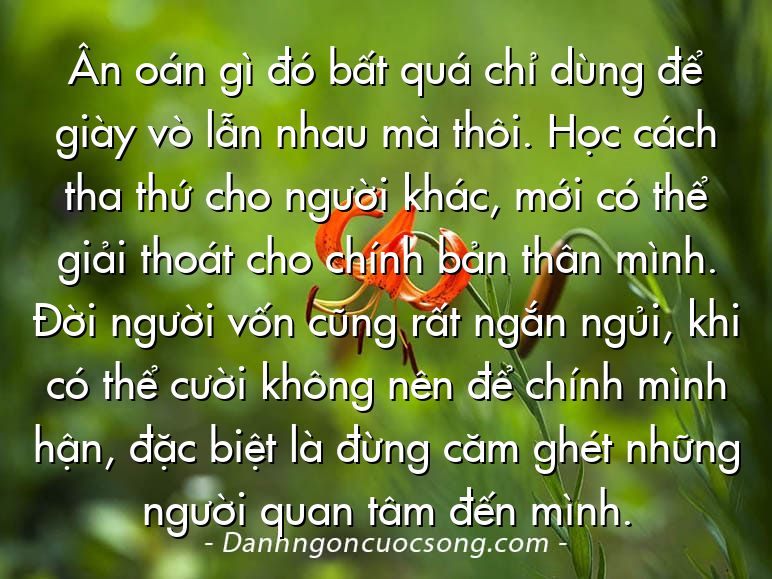 Ân oán gì đó bất quá chỉ dùng để giày vò lẫn nhau mà thôi. Học cách tha thứ cho người khác, mới có thể giải thoát cho chính bản thân mình. Đời người vốn cũng rất ngắn ngủi, khi có thể cười không nên để chính mình hận, đặc biệt là đừng căm ghét những người quan tâm đến mình.