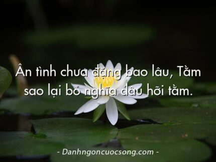Ân tình chưa đặng bao lâu, Tằm sao lại bỏ nghĩa dâu hỡi tằm.