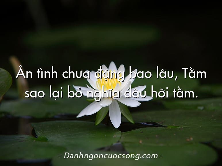 Ân tình chưa đặng bao lâu, Tằm sao lại bỏ nghĩa dâu hỡi tằm.