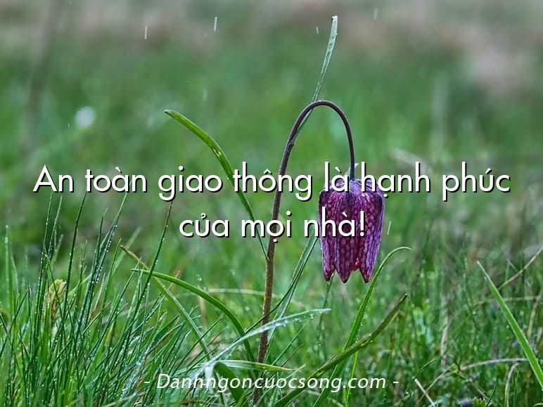 An toàn giao thông là hạnh phúc của mọi nhà!