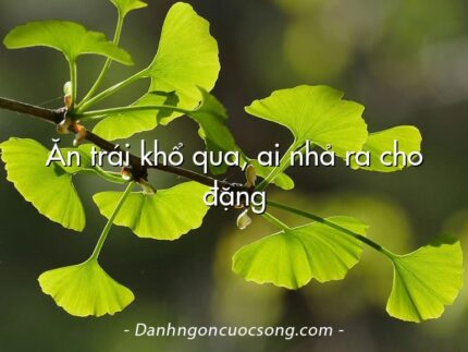 Ăn trái khổ qua, ai nhả ra cho đặng