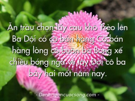 Ăn trầu chọn lấy cau khô Trèo lên Ba Dội có cô bán hàng Cô bán hàng lòng cô buồn bã Bóng xế chiều bóng ngả về tây Đợi cô ba bảy hai mốt năm nay.