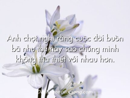 Anh chợt nghĩ rằng cuộc đời buồn bã như thế này sao chúng mình không tha thiết với nhau hơn.