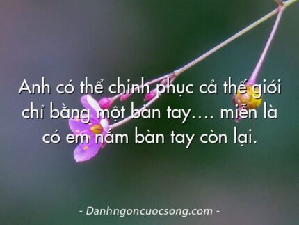 Anh có thể chinh phục cả thế giới chỉ bằng một bàn tay…. miễn là có em nắm bàn tay còn lại.