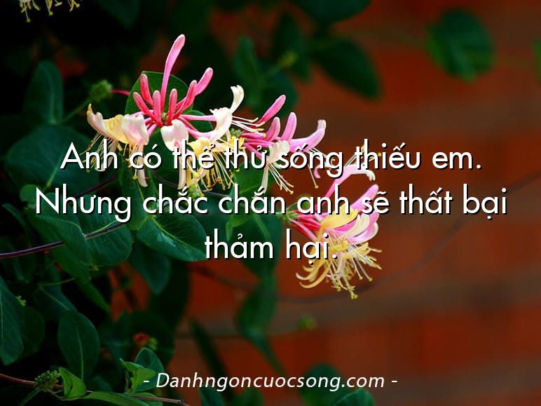 Anh có thể thử sống thiếu em. Nhưng chắc chắn anh sẽ thất bại thảm hại.