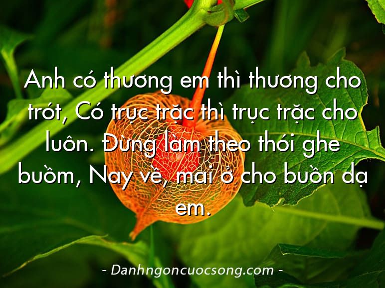 Anh có thương em thì thương cho trót, Có trục trặc thì trục trặc cho luôn. Đừng làm theo thói ghe buồm, Nay về, mai ở cho buồn dạ em.