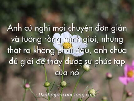 Anh cứ nghĩ mọi chuyện đơn giản và tưởng rằng mình giỏi, nhưng thật ra không phải đâu, anh chưa đủ giỏi để thấy được sự phức tạp của nó
