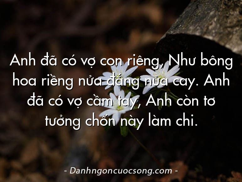 Anh đã có vợ con riêng, Như bông hoa riềng nửa đắng nửa cay. Anh đã có vợ cầm tay, Anh còn tơ tưởng chốn này làm chi.