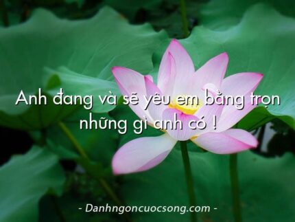 Anh đang và sẽ yêu em bằng trọn những gì anh có !