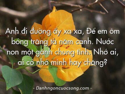 Anh đi đường ấy xa xa, Để em ôm bóng trăng tà năm canh. Nước non một gánh chung tình. Nhớ ai, ai có nhớ mình hay chăng?