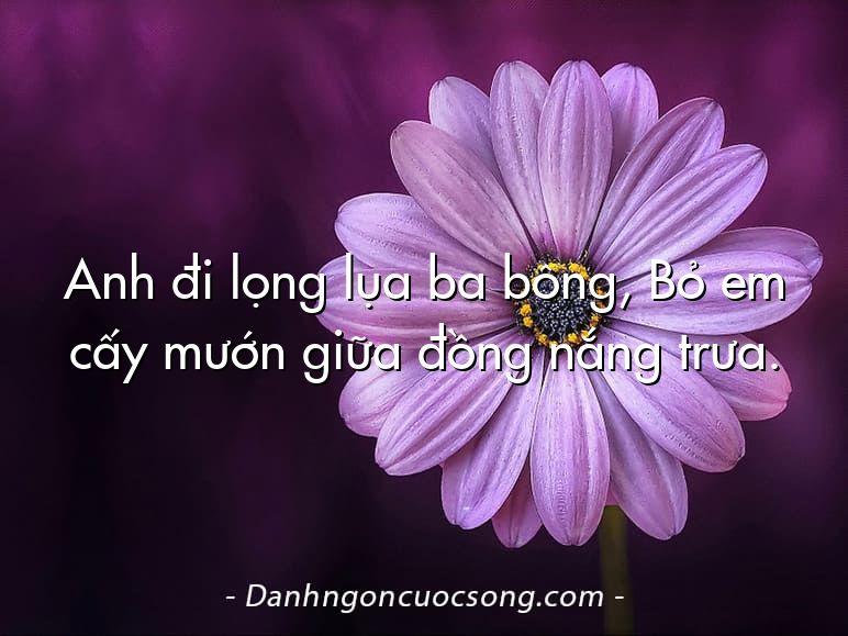 Anh đi lọng lụa ba bông, Bỏ em cấy mướn giữa đồng nắng trưa.