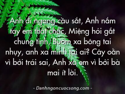 Anh đi ngang cầu sắt, Anh nắm tay em thật chắc, Miệng hỏi gắt chung tình, Bướm xa bông tai nhụy, anh xa mình tại ai? Cây oằn vì bởi trái sai, Anh xa em vì bởi bà mai ít lời.