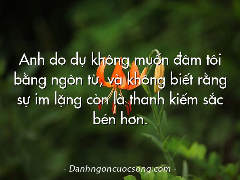Anh do dự không muốn đâm tôi bằng ngôn từ, và không biết rằng sự im lặng còn là thanh kiếm sắc bén hơn.