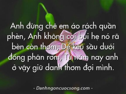 Anh đừng chê em áo rách quần phèn, Anh không coi bụi hẹ nó rã bèn còn thơm, Dế kêu sầu dưới đống phân rơm, Từ năm nay anh ở vậy giữ danh thơm đợi mình.