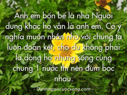 Anh em bốn bể là nhà Người dưng khác họ vẫn là anh em. Có ý nghĩa muốn nhắn nhủ với chúng ta luôn đoàn kết, cho dù không phải là dòng họ nhưng sống cùng chung 1 nước thì nên đùm bọc nhau.