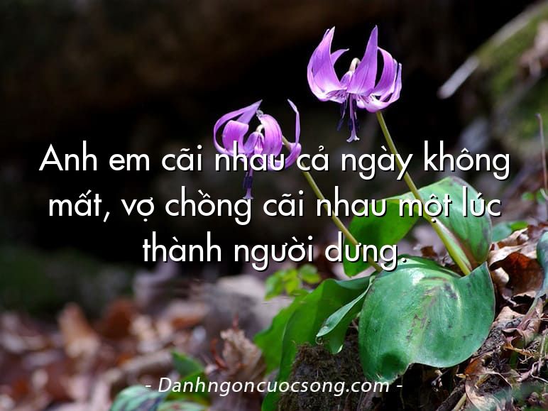 Anh em cãi nhau cả ngày không mất, vợ chồng cãi nhau một lúc thành người dưng.