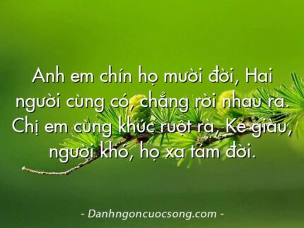 Anh em chín họ mười đời, Hai người cùng có, chẳng rời nhau ra. Chị em cùng khúc ruột rà, Kẻ giàu, người khó, họ xa tám đời.