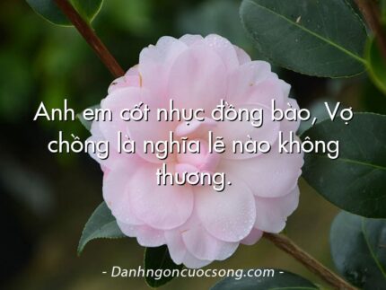 Anh em cốt nhục đồng bào, Vợ chồng là nghĩa lẽ nào không thương.
