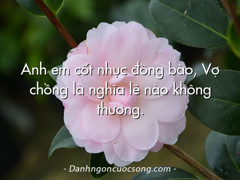 Anh em cốt nhục đồng bào, Vợ chồng là nghĩa lẽ nào không thương.