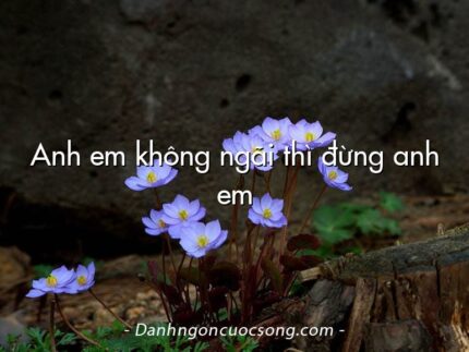 Anh em không ngãi thì đừng anh em