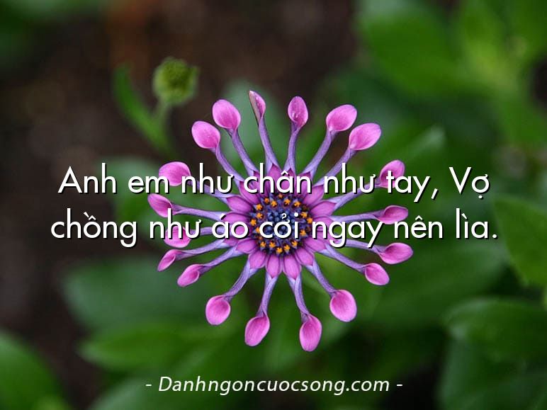Anh em như chân như tay, Vợ chồng như áo cởi ngay nên lìa.