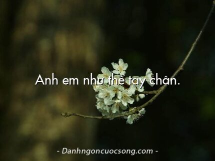 Anh em như thể tay chân.