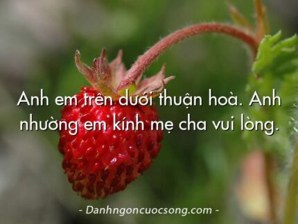 Anh em trên dưới thuận hoà. Anh nhường em kính mẹ cha vui lòng.