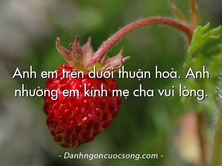 Anh em trên dưới thuận hoà. Anh nhường em kính mẹ cha vui lòng.