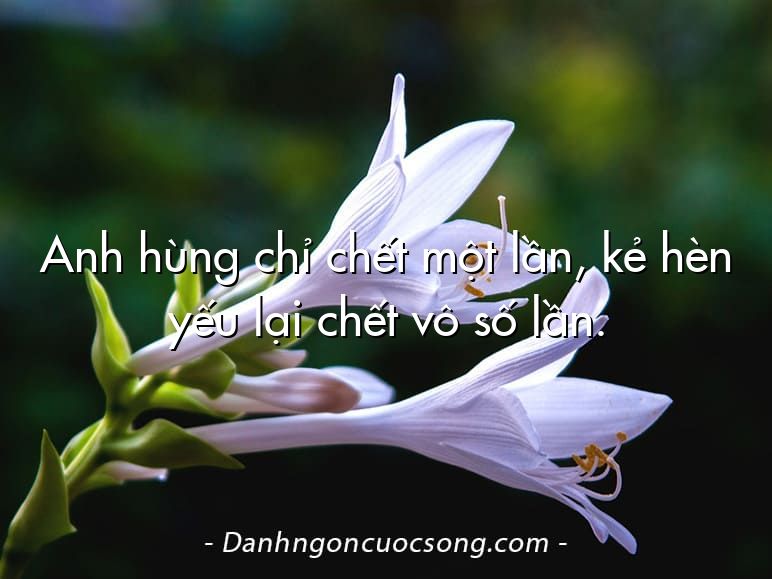 Anh hùng chỉ chết một lần, kẻ hèn yếu lại chết vô số lần.
