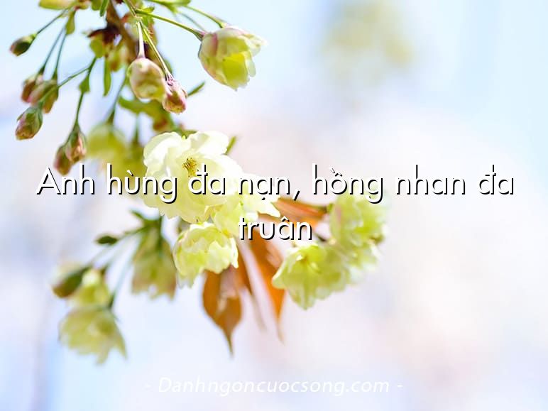 Anh hùng đa nạn, hồng nhan đa truân