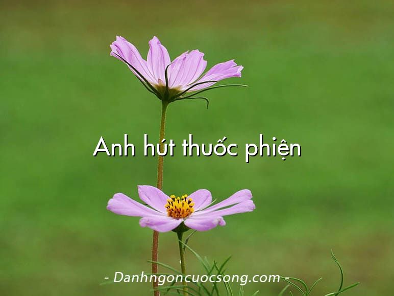 Anh hút thuốc phiện