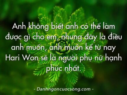 Anh không biết anh có thể làm được gì cho em, nhưng đây là điều anh muốn, anh muốn kể từ nay Hari Won sẽ là người phụ nữ hạnh phúc nhất.