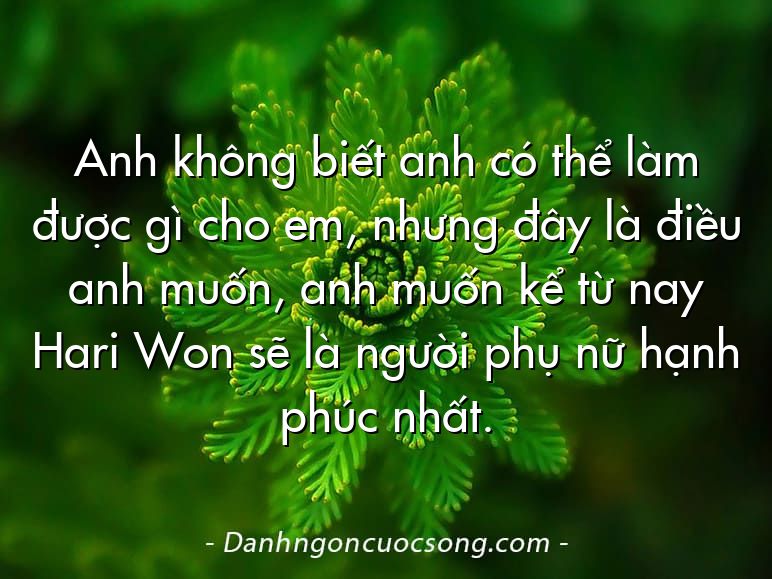 Anh không biết anh có thể làm được gì cho em, nhưng đây là điều anh muốn, anh muốn kể từ nay Hari Won sẽ là người phụ nữ hạnh phúc nhất.