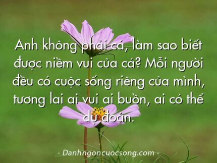 Anh không phải cá, làm sao biết được niềm vui của cá? Mỗi người đều có cuộc sống riêng của mình, tương lai ai vui ai buồn, ai có thể dự đoán.