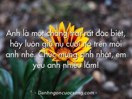 Anh là một chàng trai rất đặc biệt, hãy luôn giữ nụ cười nở trên môi anh nhé. Chúc mừng sinh nhật, em yêu anh nhiều lắm!