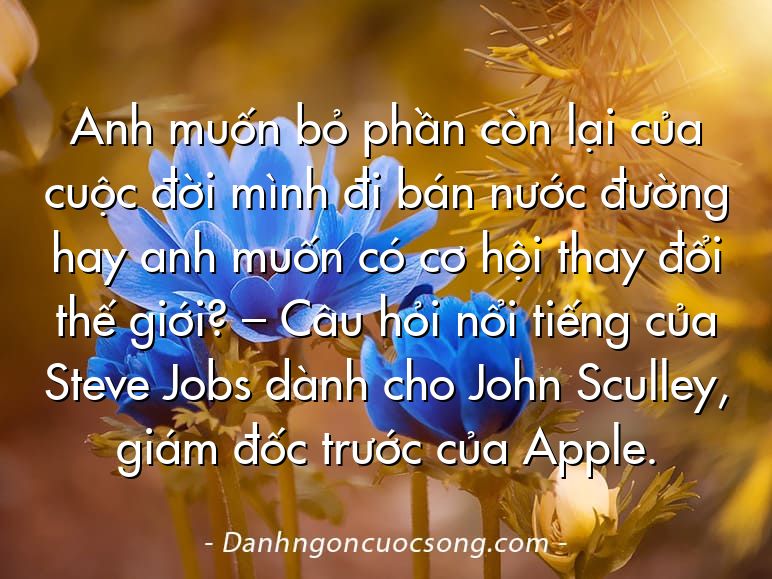 Anh muốn bỏ phần còn lại của cuộc đời mình đi bán nước đường hay anh muốn có cơ hội thay đổi thế giới? – Câu hỏi nổi tiếng của Steve Jobs dành cho John Sculley, giám đốc trước của Apple.