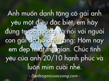 Anh muốn dạnh tặng cô gái anh yêu một điều đặc biệt, em hãy đứng trước gương và nói với người con gái đó hộ anh rằng: Hôm nay em đẹp nhất thế gian. Chúc tình yêu của anh 20/10 hạnh phúc và luôn mỉm cười nhé.