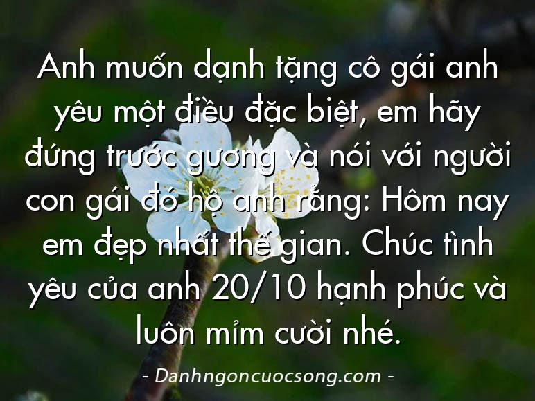 Anh muốn dạnh tặng cô gái anh yêu một điều đặc biệt, em hãy đứng trước gương và nói với người con gái đó hộ anh rằng: Hôm nay em đẹp nhất thế gian. Chúc tình yêu của anh 20/10 hạnh phúc và luôn mỉm cười nhé.