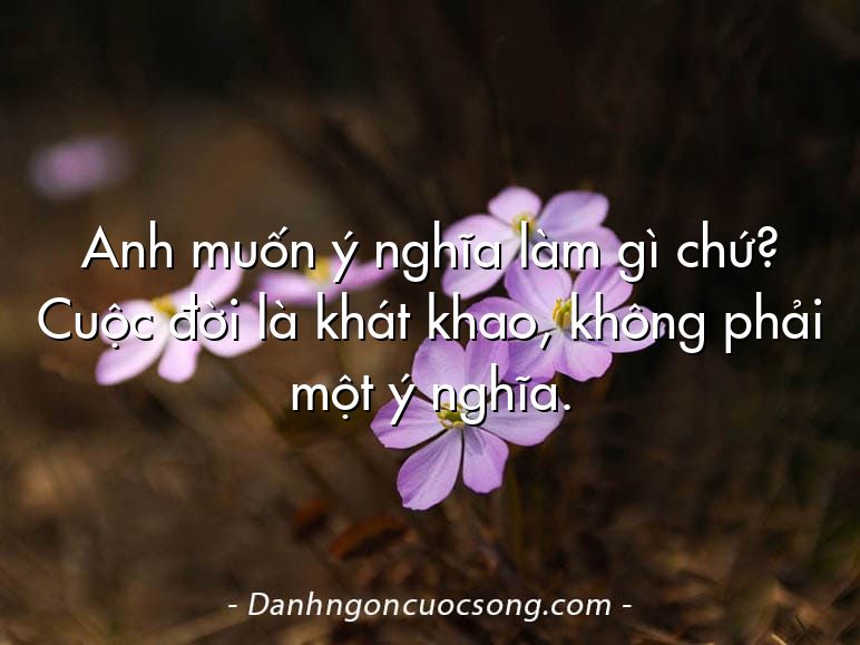 Anh muốn ý nghĩa làm gì chứ? Cuộc đời là khát khao, không phải một ý nghĩa.
