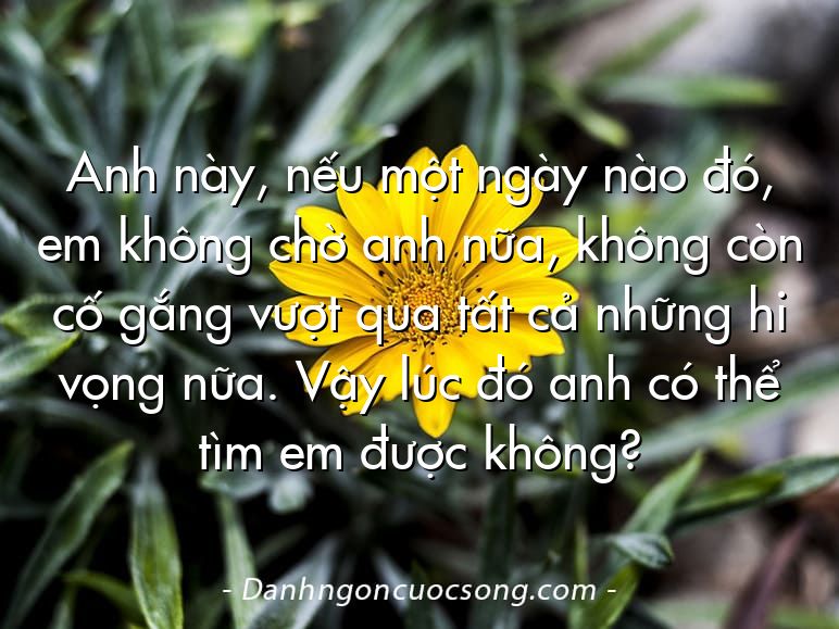 Anh này, nếu một ngày nào đó, em không chờ anh nữa, không còn cố gắng vượt qua tất cả những hi vọng nữa. Vậy lúc đó anh có thể tìm em được không?