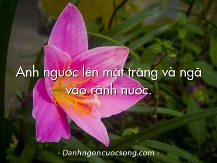 Anh ngước lên mặt trăng và ngã vào rãnh nước.