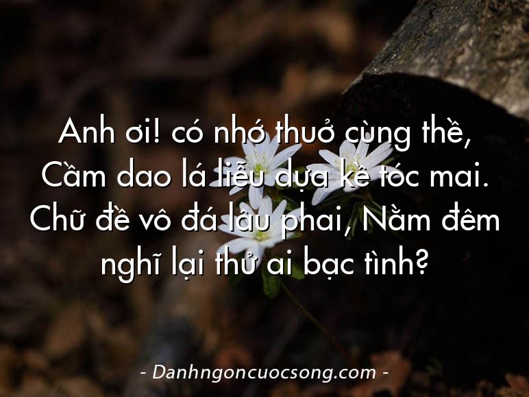 Anh ơi! có nhớ thuở cùng thề, Cầm dao lá liễu dựa kề tóc mai. Chữ đề vô đá lâu phai, Nằm đêm nghĩ lại thử ai bạc tình?