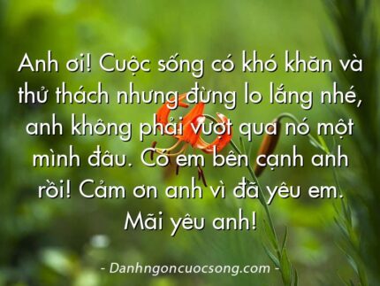 Anh ơi! Cuộc sống có khó khăn và thử thách nhưng đừng lo lắng nhé, anh không phải vượt qua nó một mình đâu. Có em bên cạnh anh rồi! Cảm ơn anh vì đã yêu em. Mãi yêu anh!