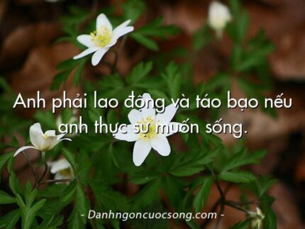 Anh phải lao động và táo bạo nếu anh thực sự muốn sống.