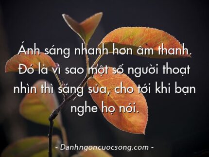 Ánh sáng nhanh hơn âm thanh. Đó là vì sao một số người thoạt nhìn thì sáng sủa, cho tới khi bạn nghe họ nói.