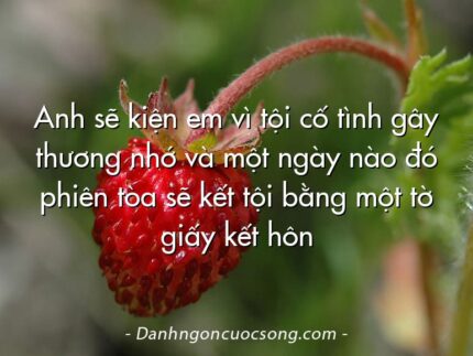 Anh sẽ kiện em vì tội cố tình gây thương nhớ và một ngày nào đó phiên tòa sẽ kết tội bằng một tờ giấy kết hôn