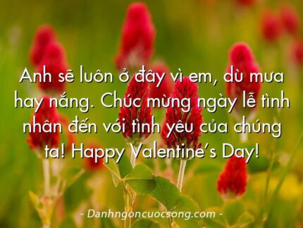Anh sẽ luôn ở đây vì em, dù mưa hay nắng. Chúc mừng ngày lễ tình nhân đến với tình yêu của chúng ta! Happy Valentine’s Day!