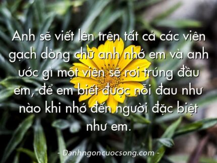 Anh sẽ viết lên trên tất cả các viên gạch dòng chữ anh nhớ em và anh ước gì một viên sẽ rơi trúng đầu em, để em biết được nỗi đau như nào khi nhớ đến người đặc biệt như em.